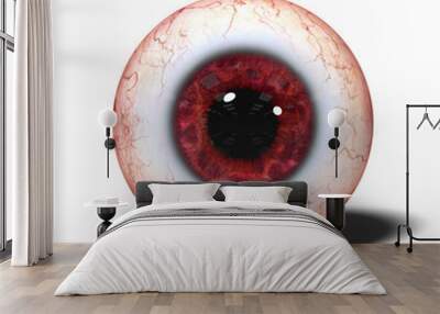 realistic human eye ball with red iris isolated on white background Wall mural