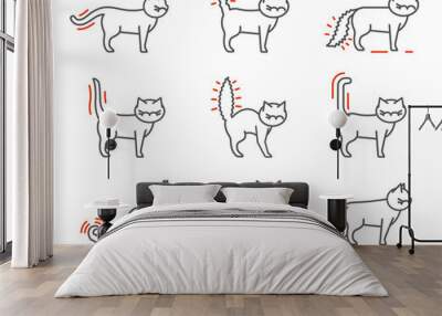 Cat Behavior Icons Wall mural