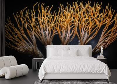 close-up cordyceps fungus Wall mural