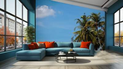 Idyllic looking green tropical palm trees on a clear sunny summer day with a blue sky. Wall mural