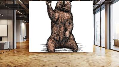 engrave bear illustration Wall mural