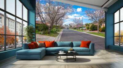 A road in the residential suburb lined with street trees and family homes. A beautiful middle-class neighbourhood with clean front yards and nice houses. Melbourne VIC Australia. Wall mural