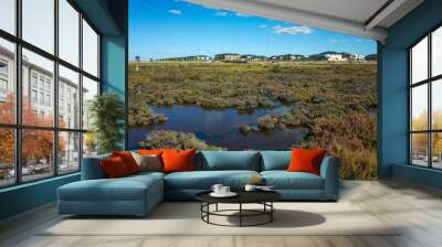 Plants in wetlands with a distant view of residential houses in the background. Concept of living environment, new estate development near nature conservation. Cheetham Wetlands. Point Cook Australia. Wall mural