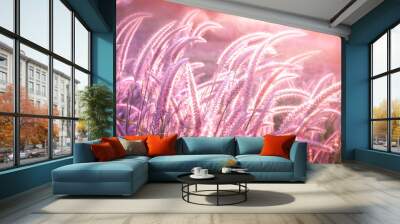 beautiful grass flower field with sunset light in purple tone background  Wall mural