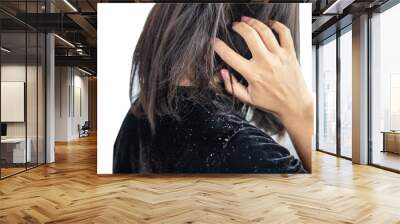 closeup woman hair having problem with dandruff on shoulder  Wall mural