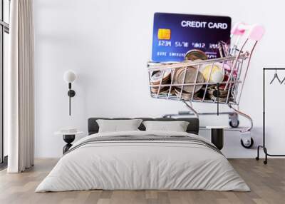 shopping cart with credit cart and coin, buying or payment online Wall mural