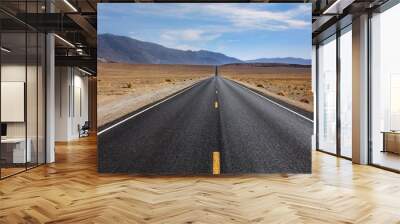 Desert Highway Wall mural