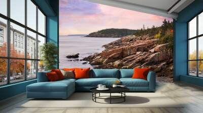 Rugged Acadia Seacoast Wall mural