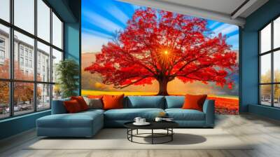 A stunning red tree stands majestically in a bright, sunlit field with rays of sunlight streaming through its vibrant autumn leaves. Wall mural