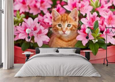 Curious ginger kitten peers out from a sea of pink blooms, vibrant greenery framing its playful gaze, whiskers and paws adding charm. Wall mural