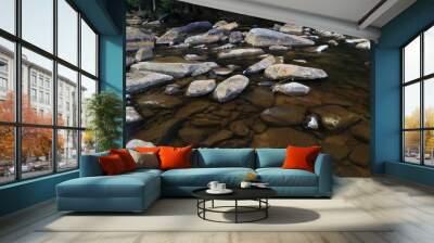 Clear mountain spring water  Wall mural