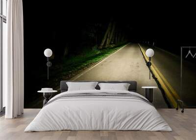 Driver point of view on spooky road at night  Wall mural