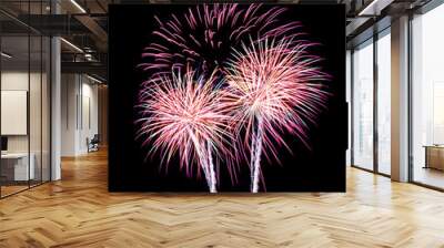 fireworks in the sky 2 Wall mural