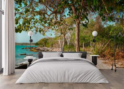 Native Plants and trees in Caribbean Sea, Baru Island, Cartagena, Colombia. Wall mural