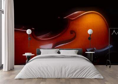 Violin Wall mural