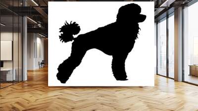 Toy Poodle vector silhouette. Portrait of Royal Poodle vector silhouette illustration isolated. French black poodle standing.  Beware of dog. Wall mural