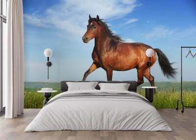 beautiful brown horse running trot Wall mural