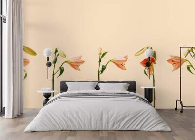 Five fresh natural magnificent blooming pink lily flowers in different directions. Beige background. Wall mural