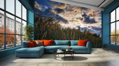 Dramatic sky with clouds and sunshine over beach grass. Wall mural