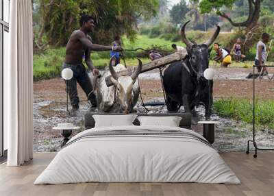 malagasy farmers plowing agricultural field in traditional way w Wall mural