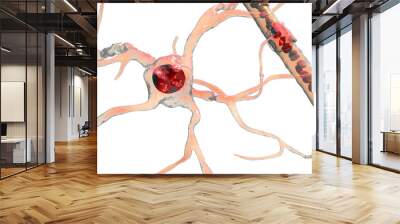 Astrocyte and blood vessel, 3D illustration. Astrocytes, brain glial cells, also known as astroglia, connect neuronal cells to blood vessels Wall mural