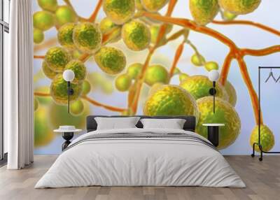 Candida auris fungi, emerging multidrug resistant fungus, 3D illustration Wall mural