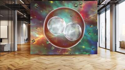 human embryo on the stage of two cells on space background with galaxies. elements of this image fur Wall mural