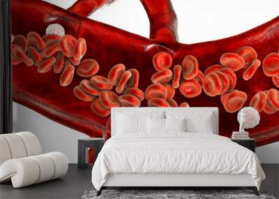 Red blood cells and leukocytes, cross-section of a blood vessel Wall mural