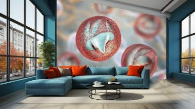 release of sporozoites from cryptosporidium parvum oocyst, 3d illustration. cryptosporidium is a pro Wall mural