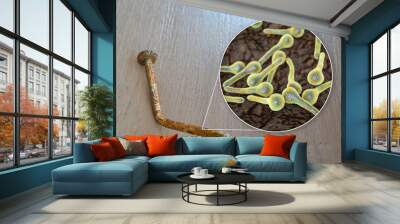 Tetanus. Bacteria Clostridium tetani and rusty metal nail Wall mural