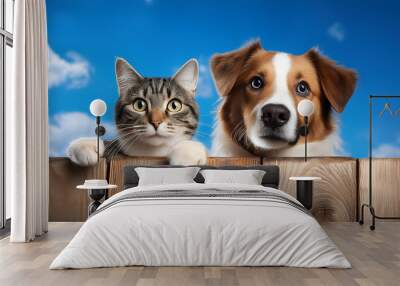 A dog and a cat look over a wooden fence Wall mural