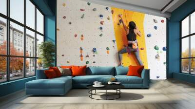 Climbing Wall mural