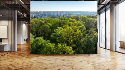 Greenfield Bucharest. Aerial view of this new residential complex with modern apartments next to Baneasa forest in Bucharest, Romania, during a sunny spring morning. Residential construction industry. Wall mural