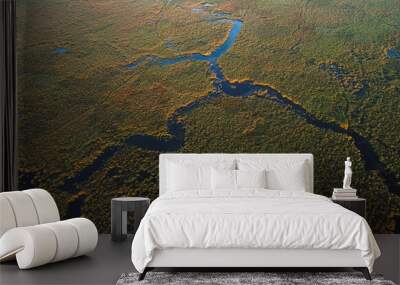 Sunrise over Comana Natural Park. Aerial view of this beautiful natural park with lakes birds and reed, landmarks of Romania. Amazing delta landscape. Wall mural