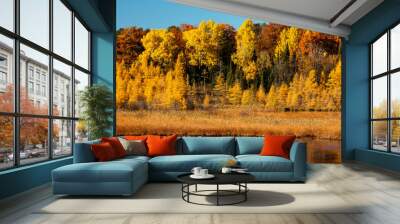 Multiple autumn colors cover the shoreline along a small stream near Arbor Vitae, Wisconsin in mid-October Wall mural