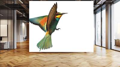 bird of paradise in flight isolated on a white background Wall mural