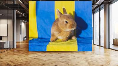 rabbit on the background of the Ukrainian flag Wall mural