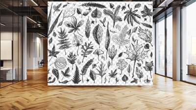 Leaves doodle set. Collection of different shape decorative autumn spring season falling tree birch oak foliage isolated on transparent background. Part of forest nature hardwood plants illustration. Wall mural