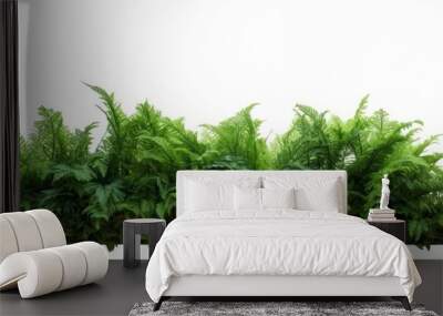 Tropical foliage plant bush nature frame layout of Fishtail fern or forked giant sword fern (Nephrolepis spp.) the shade garden landscaping shrub plant on white background with clipping, Generative AI Wall mural