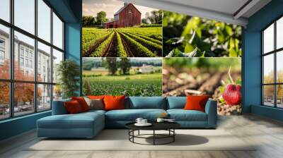 Field of strawberries. One ripe strawberry. Farming scene, green ripe healthy fields of produce, vegetables, greens. Red farmers barn. Rows of planted veggies. Organic, sustainable, farms. Wall mural