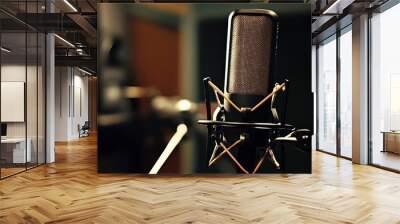 A close-up of a professional studio microphone, soft lighting on the mic and background, recording studio equipment in the background, warm toneS Wall mural