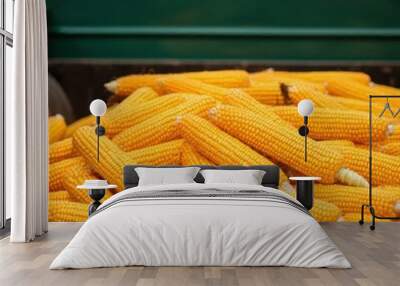 Corn ears laid out for transportation in a farmer s truck Wall mural