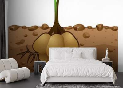 Potato plant with roots underground illustration Wall mural