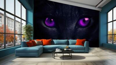 Beautiful extreme close-up of black cat. Macro shot of cat's purple eyes. Wildlife and wild nature concept. Banner, wallpaper.  Wall mural