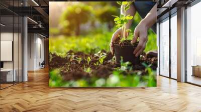 Woman planting seedlings in the garden. Gardening and horticulture concept. Ecology and eco-friendly lifestyle. Banner, advertisement with copy space Wall mural