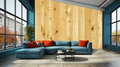 Vertical planks with two horizontal Wall mural