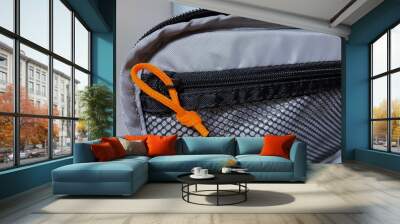 Camera Bag Zipper detail Wall mural