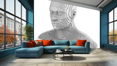 digital man Wall mural