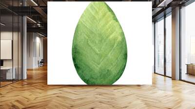 watercolor green leaf isolated on white Wall mural