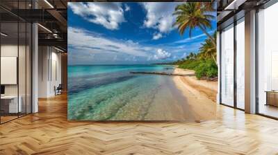 Tropical Paradise with Palm Trees and White Sandy Beaches Wall mural